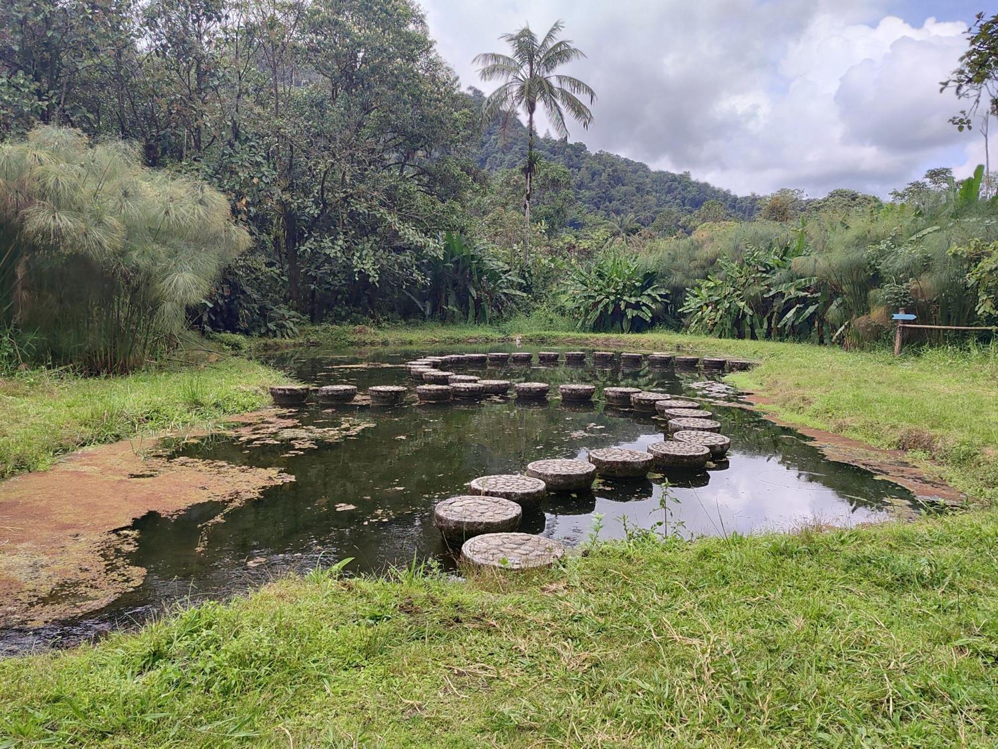 Mindo Garden Exterior foto