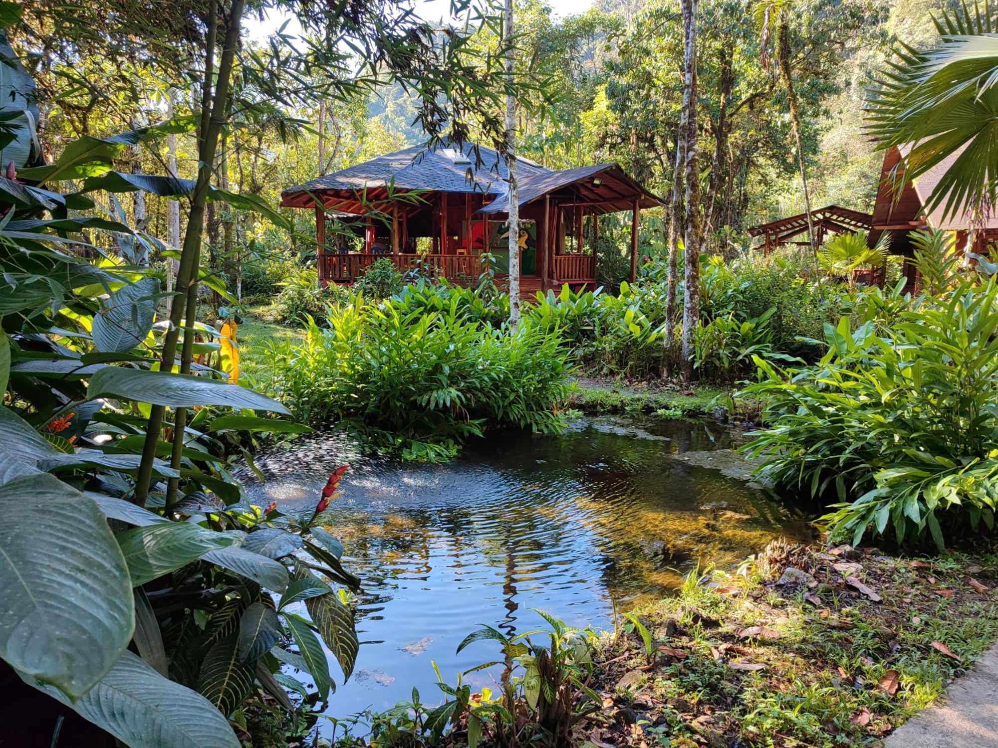 Mindo Garden Exterior foto