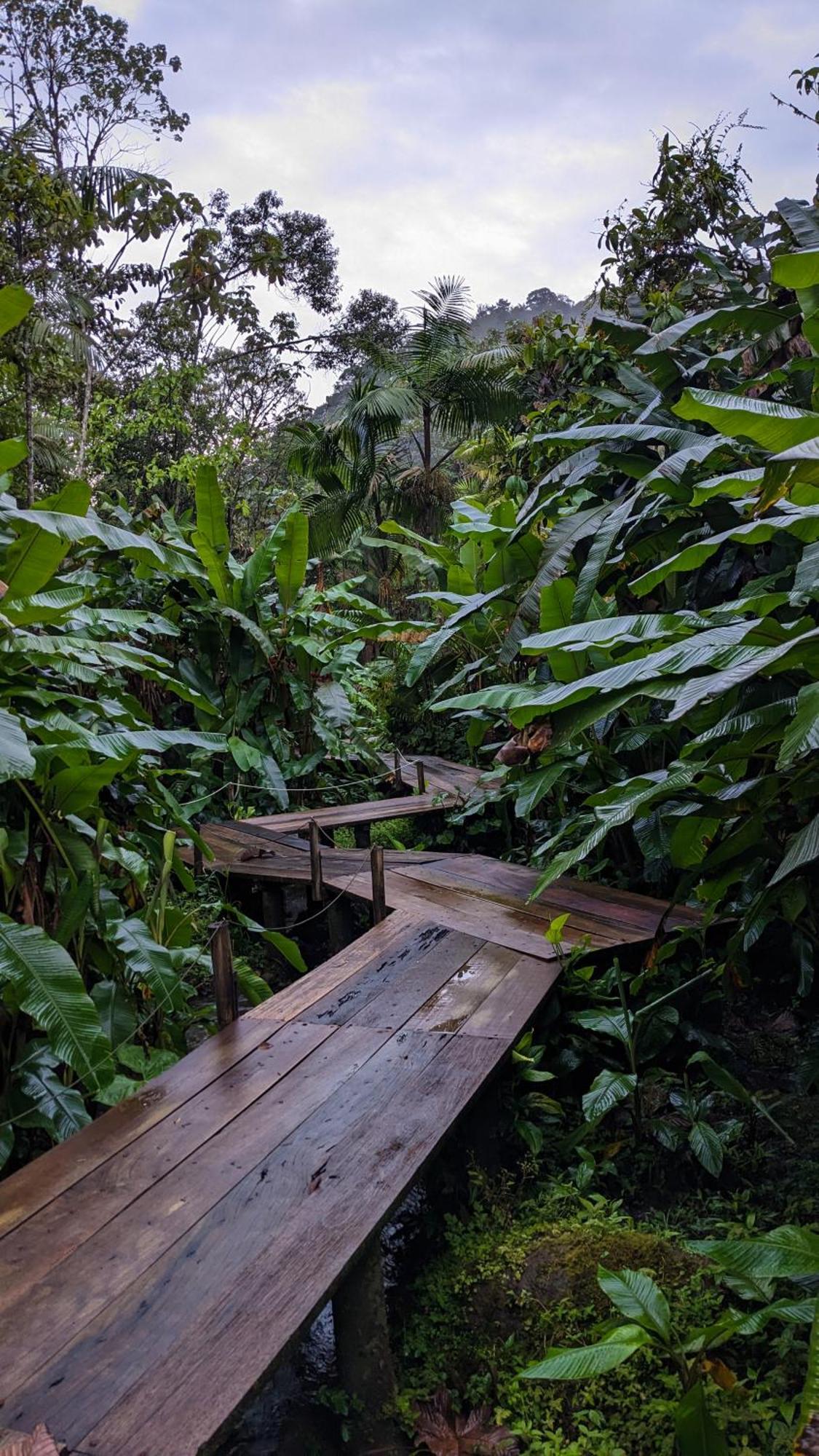 Mindo Garden Exterior foto